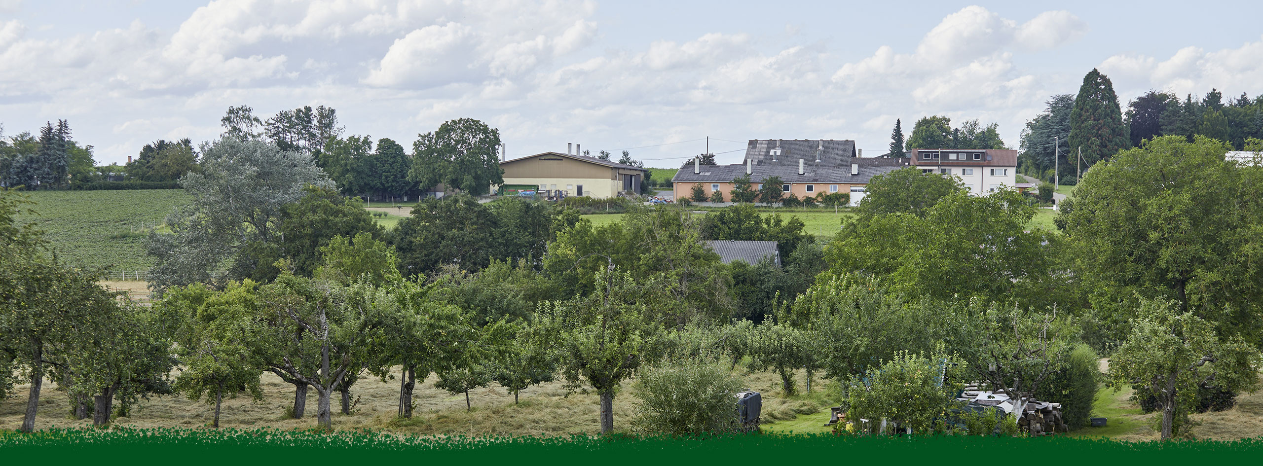 Hof Petschl mit Apfelplantage davor